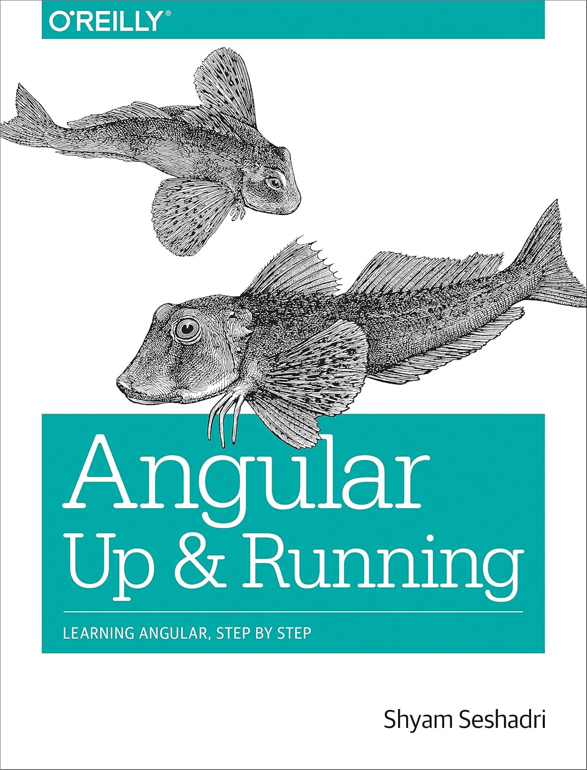 Angular: Up and Running: Learning Angular, Step by Step