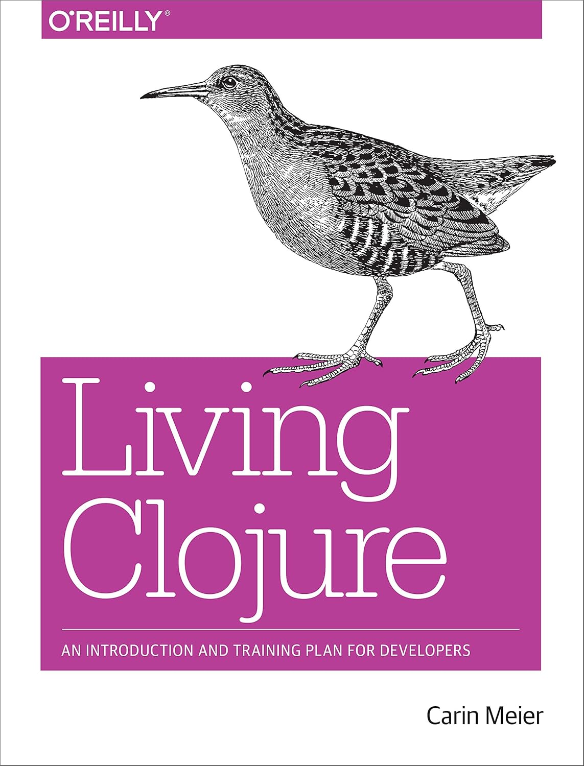 Living Clojure: An Introduction and Training Plan for Developers