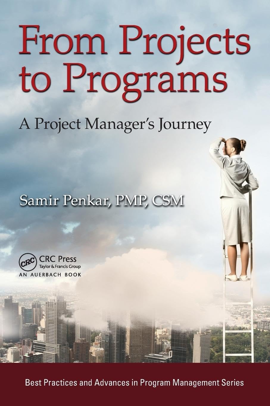 From Projects to Programs: A Project Manager's Journey