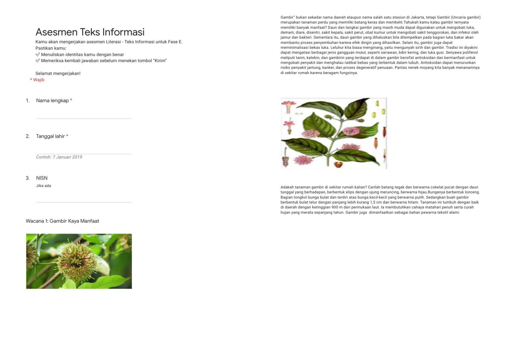 Literasi-Fase E (Kelas 9SMP-10SMA)-Teks Informasi-SOAL