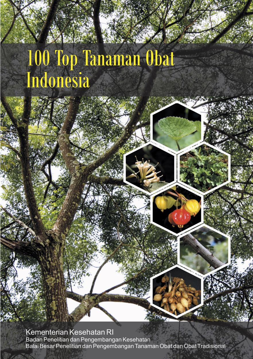 Salinan 1913 100 Top Tanaman Obat Indonesia by Tim Penyusun