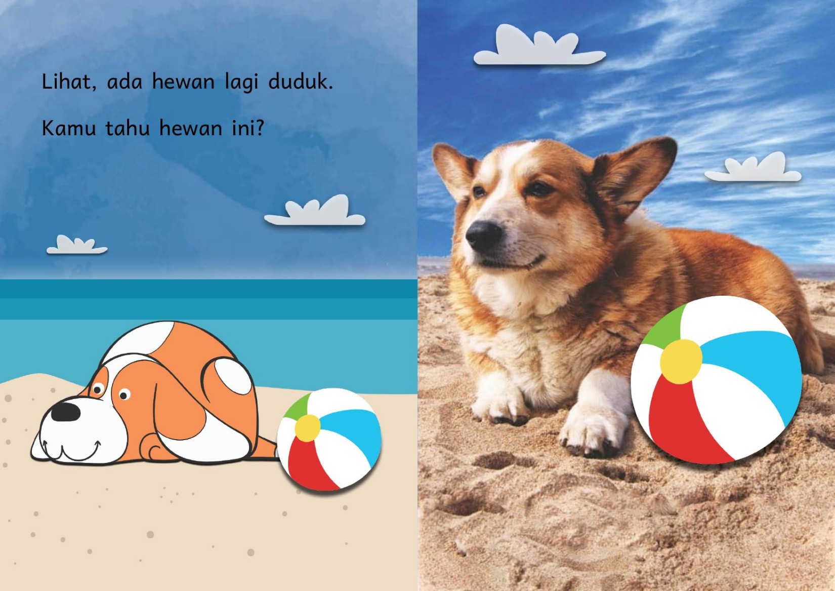 Salinan Seputar Anjing