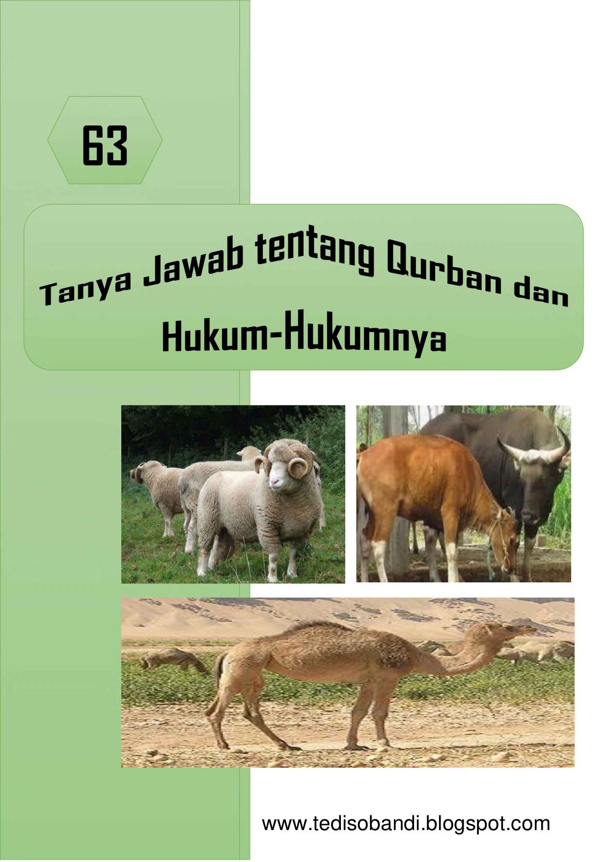 63 Tanya Jawab Qurban
